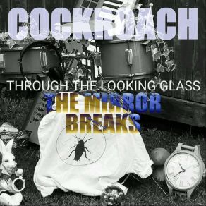 Download track The Mirror Breaks Cockroach