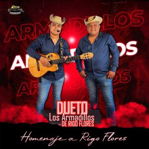 Download track El Huerfanito Dueto Los Armadillos De Rigo Flores