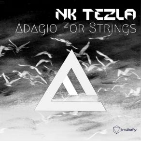 Download track Adagio For Strings NK TEZLA