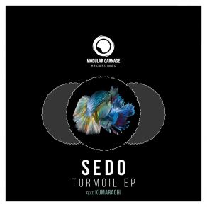 Download track Turmoil Sedo