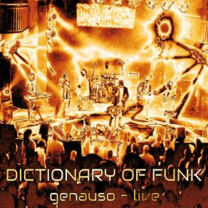 Download track What Would You Do (Live) Dictionary Of Funk