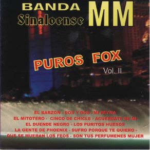 Download track Son Tus Perfumenes Mujer Banda Sinaloense MM