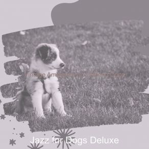 Download track Stellar Dog Walking Jazz For Dogs Deluxe