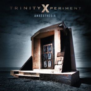 Download track Try This At Home Trinity Xperiment