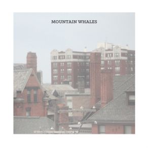 Download track Your Love Never Ends Mountain Whales