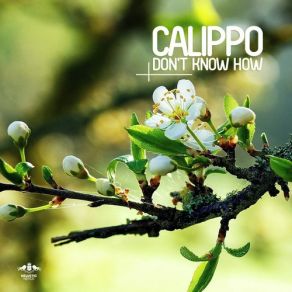 Download track Come On Over (Original Mix) Calippo