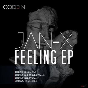 Download track Feeling (DJ Pitts Remix) JAN-XDJ Pitts