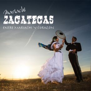 Download track Se Me Olvidó Otra Vez Mariachi Zacatecas