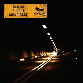 Download track Going Back Ilya Garbuz