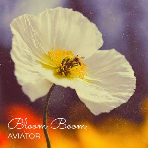 Download track Bloom Boom (Radio Edit) Aviator