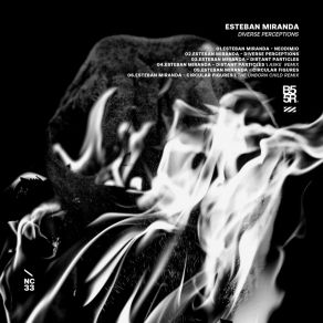 Download track Neodimio (Original Mix) Esteban Miranda