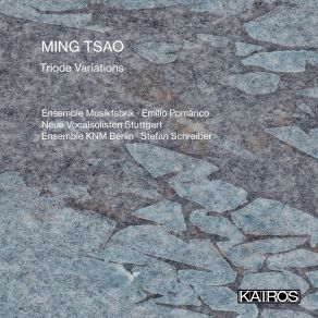 Download track Das Wassergewordene Kanonbuch (2016-17) For Chamber Choir: Dum Tria Percurris Quatuor Valet. Tertius Unum Subque Diapason Sed Facit Alba Moras Emilio Pomarico, Ensemble MusikFabrik, Neue Vocalsolisten Stuttgart, Ensemble KNM Berlin, Stefan Schreiber