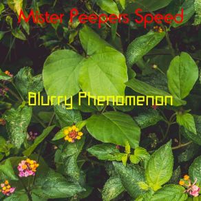 Download track Temple Stay Blurry Phenomenon