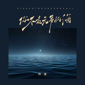 Download track 你不是无声的海 阿星