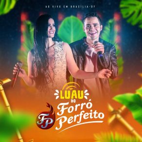 Download track Puteiro Da Joaquina (Ao Vivo) Forró Perfeito