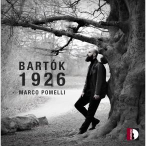 Download track Piano Sonata Sz. 80 (1926): I. Allegro Moderato Marco Pomelli