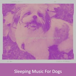 Download track Soulful Ambiance For Mans Best Friend Sleeping Music For Dogs