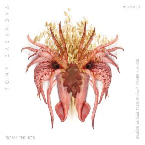 Download track Some Things (Animal Trainer Remix) Tony CasanovaAnimal Trainer