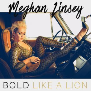 Download track Let It Go Meghan Linsey