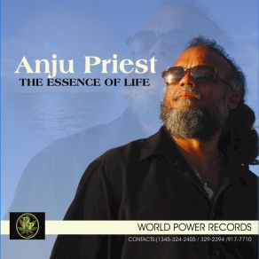 Download track Ain't Giving Up Anju Priest