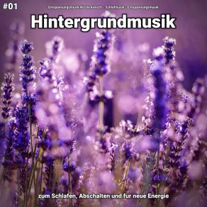 Download track Hintergrundmusik Pt. 70 Entspannungsmusik