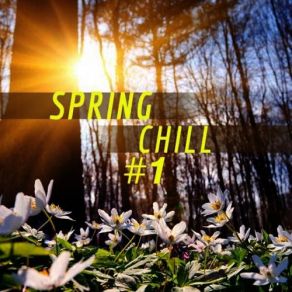 Download track Spring's Coming D - Chill Livin' Mix Dj Rigi