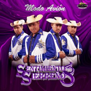 Download track El Corrido Del Goguis Sentimiento Sierreño