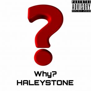 Download track 污垢 HALEYSTONE