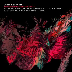 Download track Beautiful Morning (Oxia Remix) Joseph CapriatiOxia