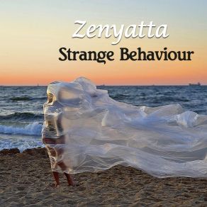 Download track Strange Behaviour (Original Mix) Zenyatta