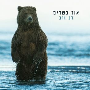 Download track 30 שנה רונן בן טל