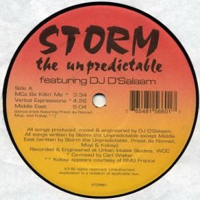 Download track Verbal Expressions (Instrumental) DJ D'Salaam, Storm The Unpredictable