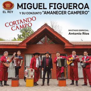 Download track Cuando Cante El Gallo Azul Su Conjunto Amanecer CamperoLuis Torres