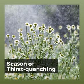 Download track 30 Beautiful Nature Sounds, Pt. 29 Always Raining
