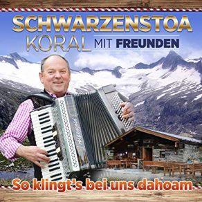 Download track Wo Die Alpenrosen Blühn Schwarzenstoa Koral Mit Freunden