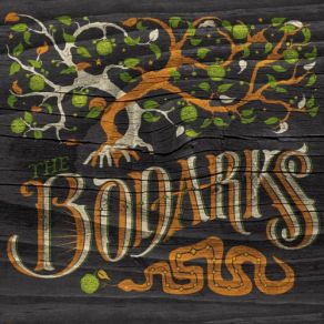 Download track Old Muddy Road The Bodarks