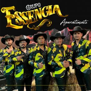 Download track Aparentemente Grupo Essência