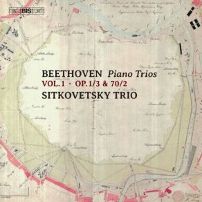 Download track Piano Trio In E-Flat Major, Op. 70 No. 2 III. Allegretto Ma Non Troppo Sitkovetsky Trio