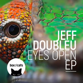 Download track The Room Jeff Doubleu