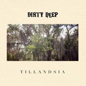 Download track You've Got To Learn Dirty Deep