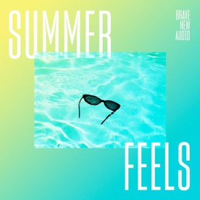 Download track Cool Summer Funk Brave New Audio