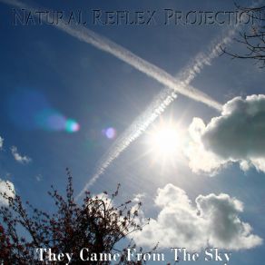 Download track The Secret Natural Reflex Projection