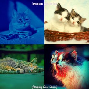 Download track Fantastic (Music) Comfortable Music For CatsThe Music