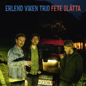 Download track Suldal Erlend Viken Trio