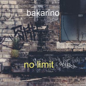 Download track Beautiful Love Bakarino