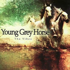 Download track Lost Young Grey Horse