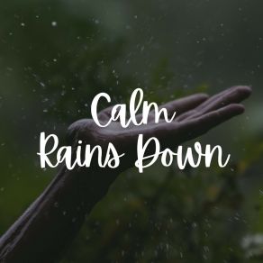 Download track Relaxing Rain Sounds 24H Rain Sounds