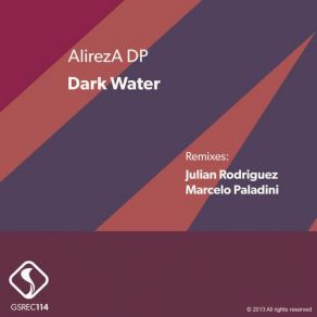 Download track Dark Water (Marcelo Paladini Remix) AlirezA DP