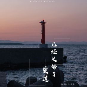 Download track 爱过已经足够了 (伴奏) BLACK李不黑