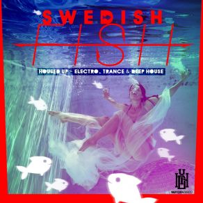 Download track Bangers & Mash Swedish Fish